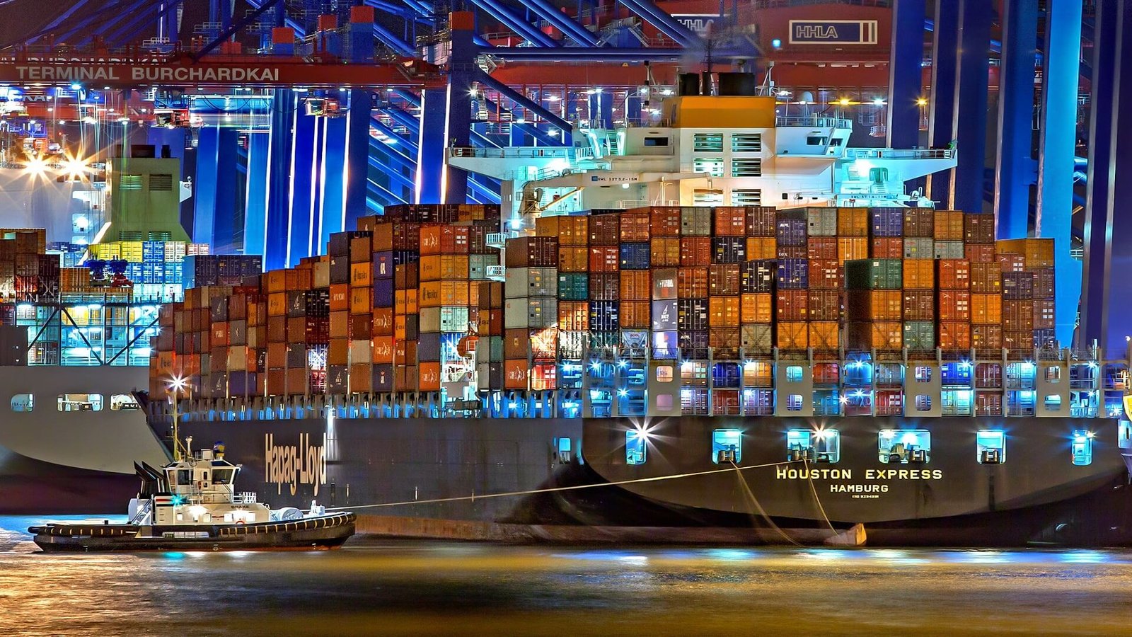 bmsb turkiye